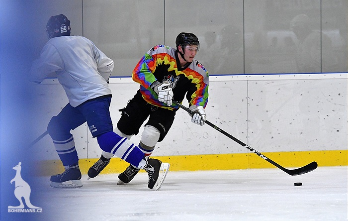 Klokani po roce opět na ledě