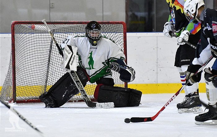 Klokani po roce opět na ledě