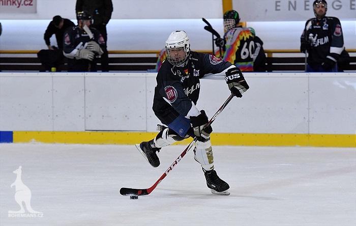 Klokani po roce opět na ledě