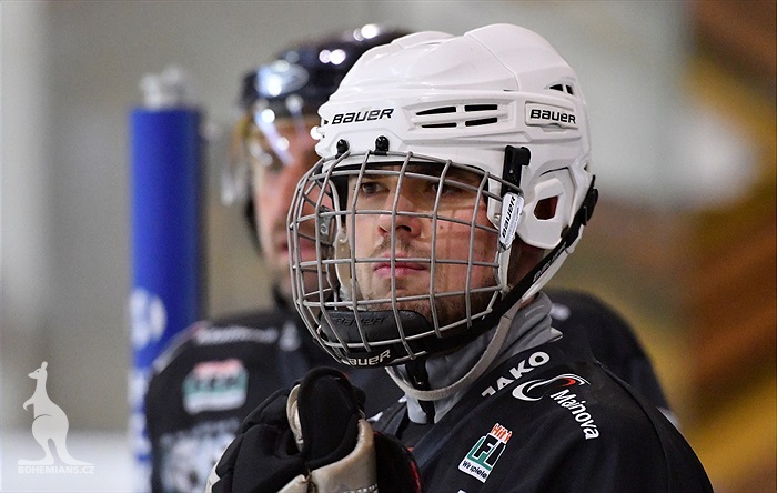 Klokani po roce opět na ledě