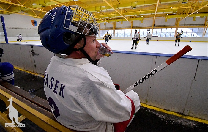 Klokani po roce opět na ledě