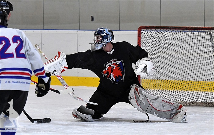 Klokani po roce opět na ledě