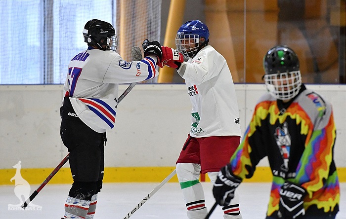 Klokani po roce opět na ledě