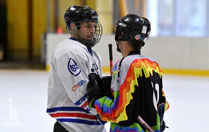 Klokani po roce opět na ledě