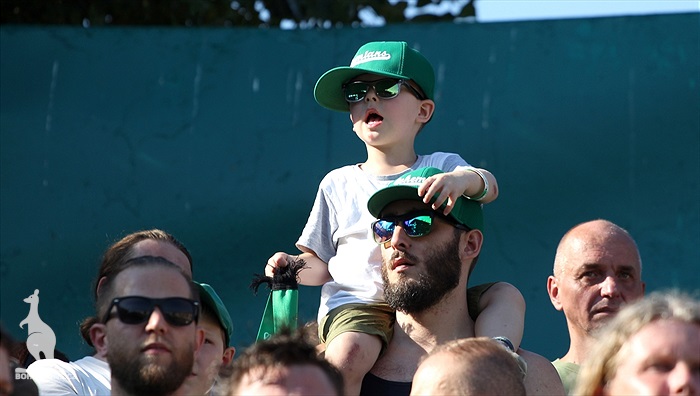 DĚNÍ NA TRIBUNÁCH: Bohemians - Zbrojovka