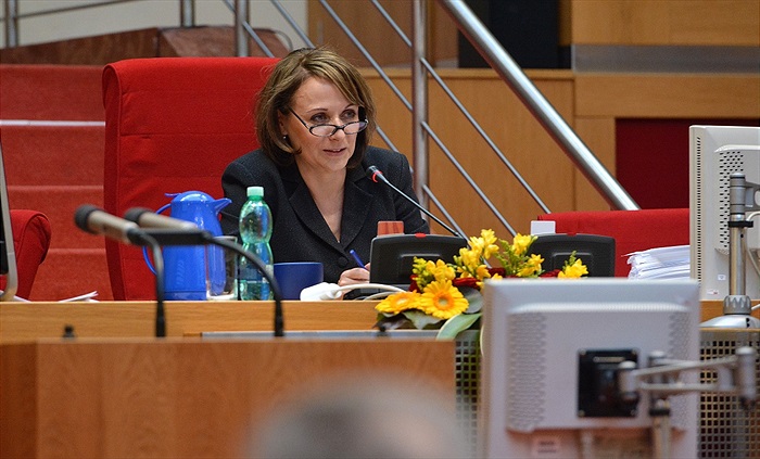 Zastupitelé odhlasovali odkup Ďolíčku! 